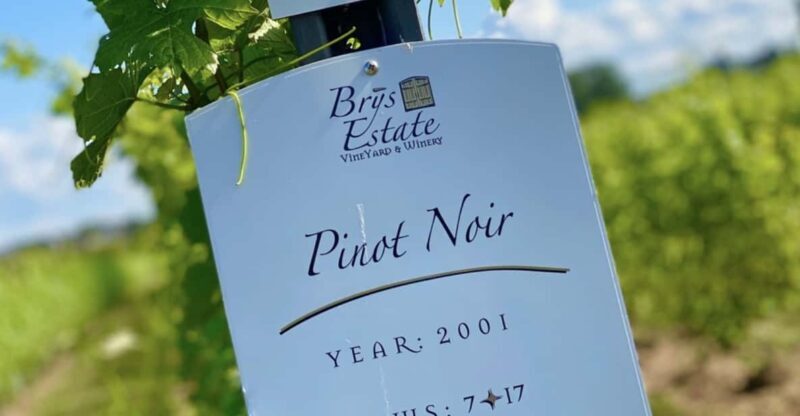 Designated Driver For Wine Tours - Traverse City - Authentic Experiences and Honest Feedback