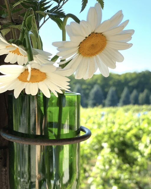 Designated Driver For Wine Tours - Traverse City - FAQs