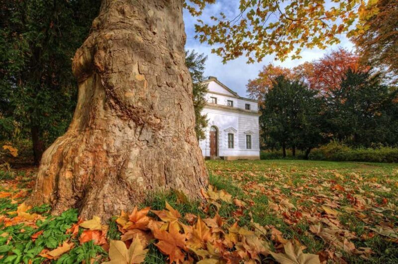 Dessau: In the footsteps of Paul Klee - Who Should Consider This Tour?