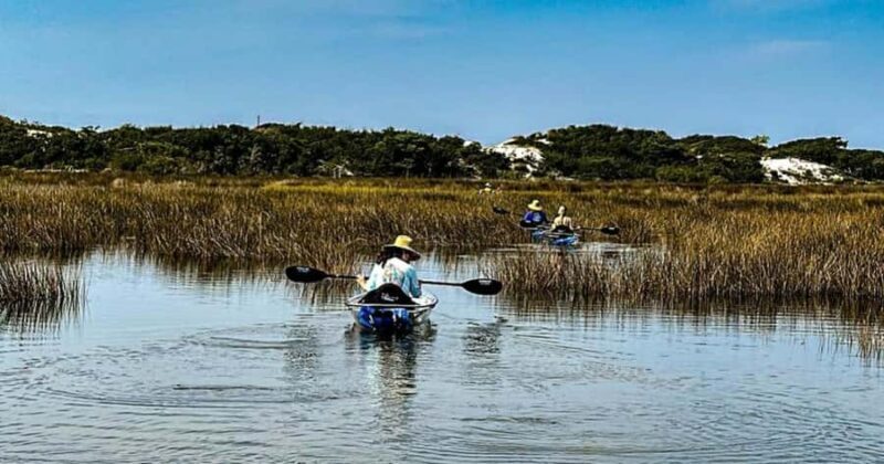Destin: Clear Kayak Eco Tour with Island Stops - An In-Depth Look at the Clear Kayak Eco Tour