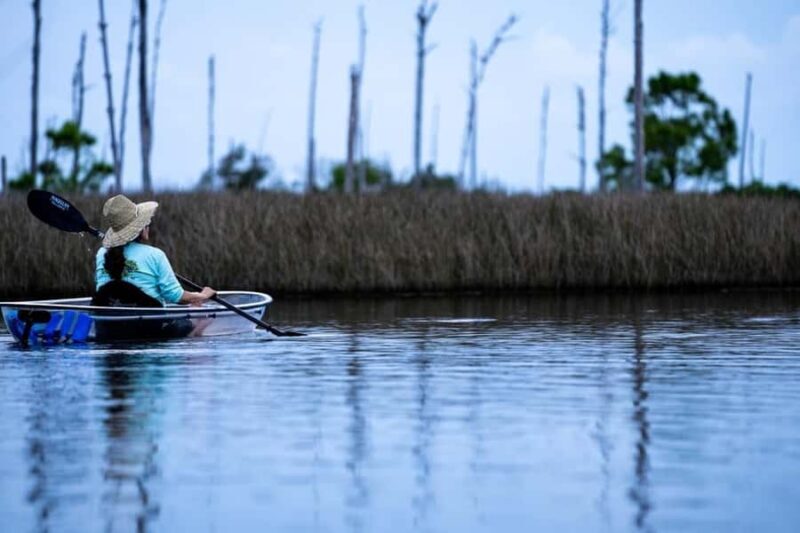Destin: Clear Kayak Eco Tour with Island Stops - Who Is This Tour Best For?