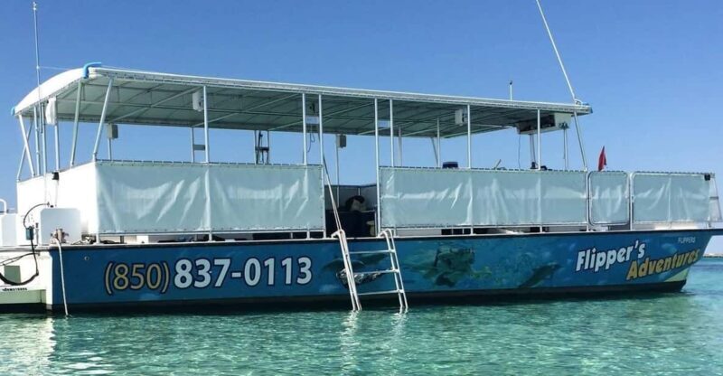 Destin: Crab Island Catamaran Tour with Dolphin Watching - An In-Depth Look at the Crab Island Catamaran Tour