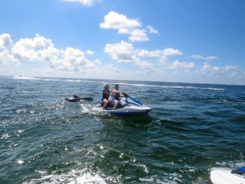 Destin: Crab Island Dolphin Watching Jet Ski Tour - The Experience in Detail