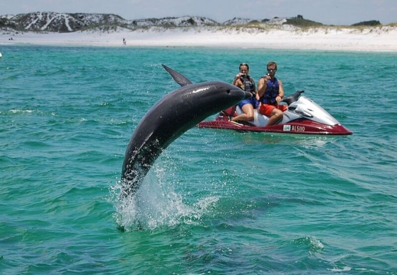Destin: Crab Island Dolphin Watching Jet Ski Tour - The Sum Up