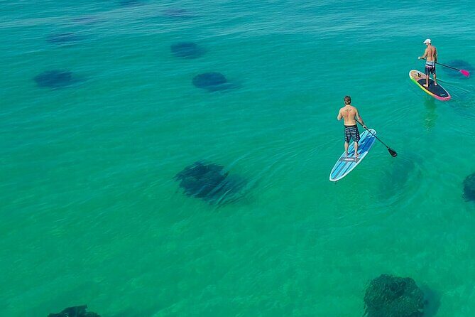 Destin Dolphin and Snorkeling Adventure Speedboat Tour - Why This Tour Offers Great Value