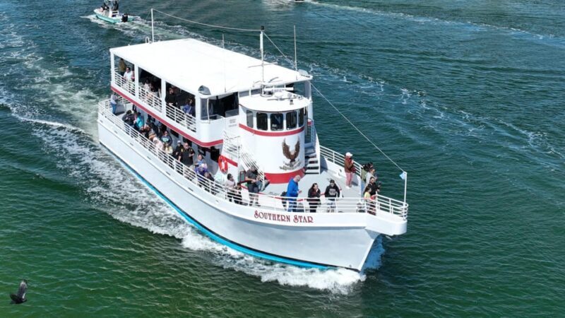 Destin: Dolphin Cruise aboard a Glass-Bottom Boat - Who Will Love This Tour?