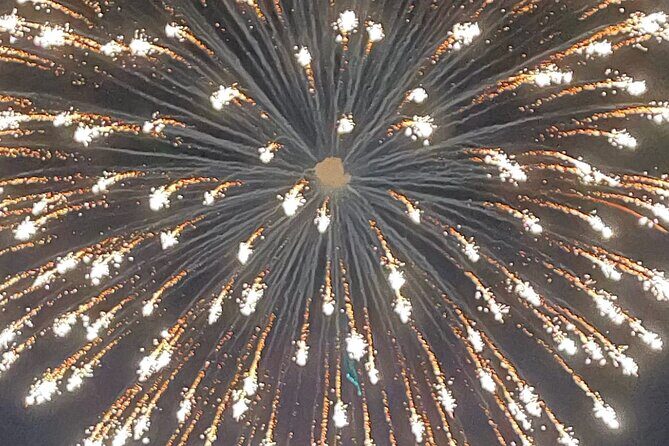 Destin Fireworks Cruise - Who Should Book This Tour?