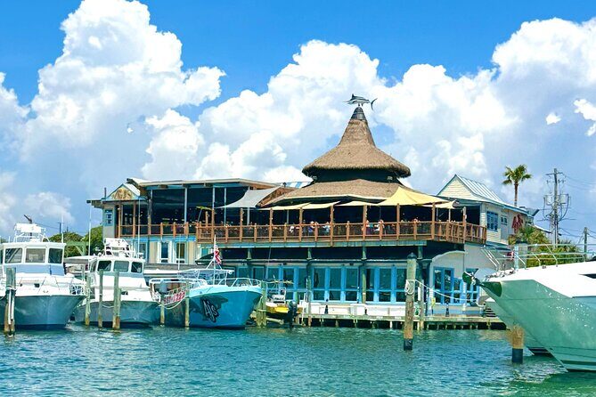 Destin Harbor Boat Ride and Dolphin Watching on the Hopper - A Detailed Look at the Destin Harbor Boat Ride and Dolphin Watching Experience