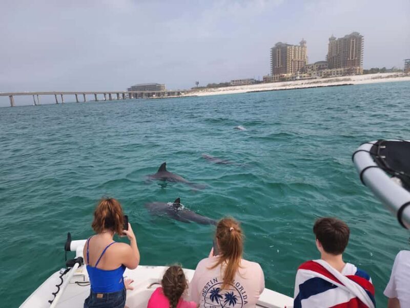 Destin: Private Morning Dolphin Cruise - The Practicalities: What You Need to Know