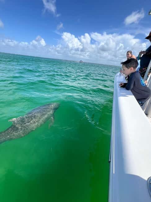 Destin: Private Morning Dolphin Cruise - Frequently Asked Questions
