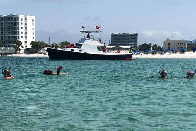 Destin: Private Snorkel/Shelling/Eco Excursion for Up to 28 - Who Will Love This Tour?