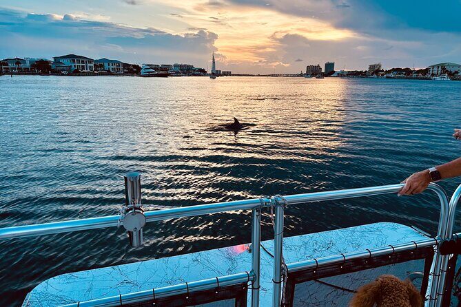 Destin Private Sunset Boat Tour - Key Points