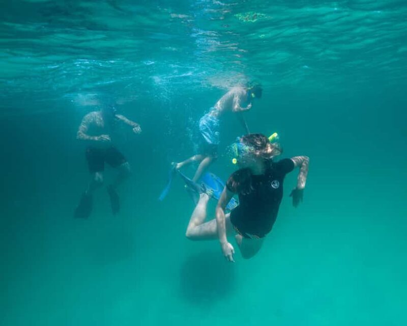 Destin: Reef Snorkeling Adventure - Key Points