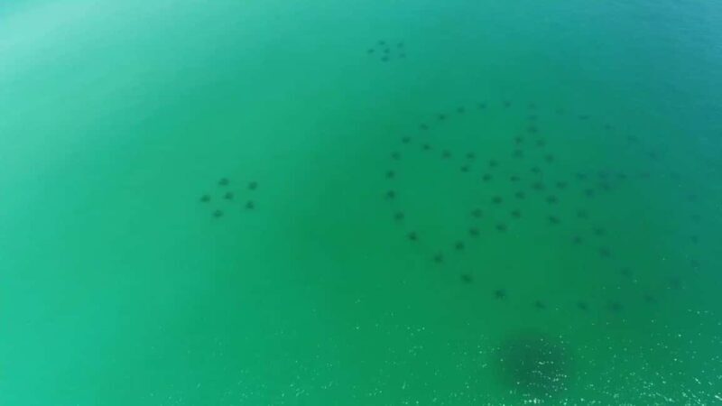 Destin: Reef Snorkeling Adventure - FAQs