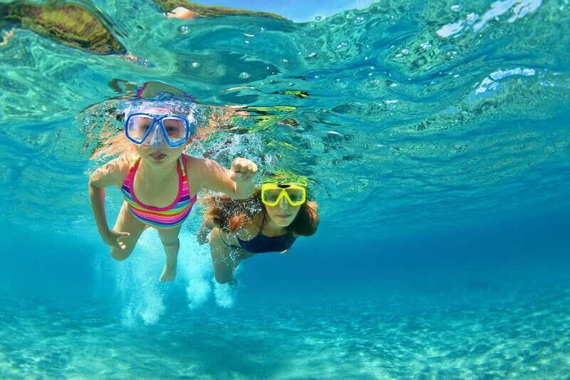 Destin: Snorkeling Cruise with 2 Stops and Dolphin Watching - Key Points