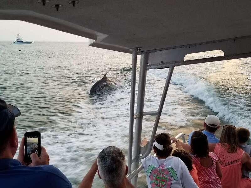 Destin: Snorkeling Cruise with 2 Stops and Dolphin Watching - The Value of This Tour
