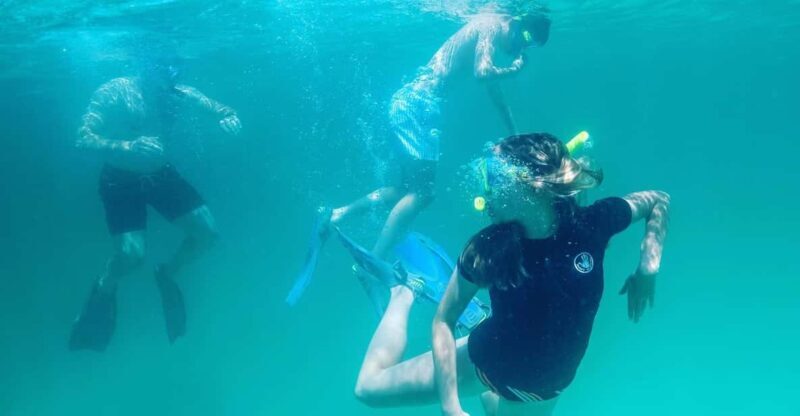 Destin: Snorkeling, Dolphins, and Crab Island - Why This Tour Works