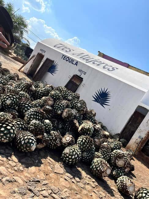 Destino Tequila: Experiencia Premier Privada - Exploring the Heart of Tequila: A Detailed Look at the Tour