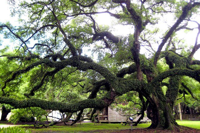 Destrehan Plantation Tour - FAQs