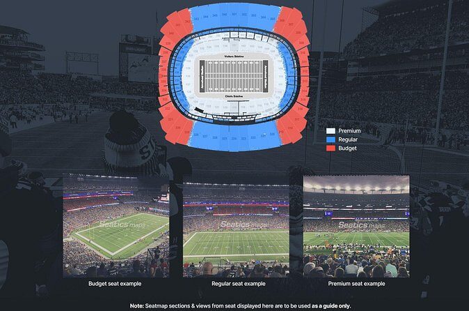 Detroit Lions Football Game Ticket at Ford Field - Who Should Consider This Experience?