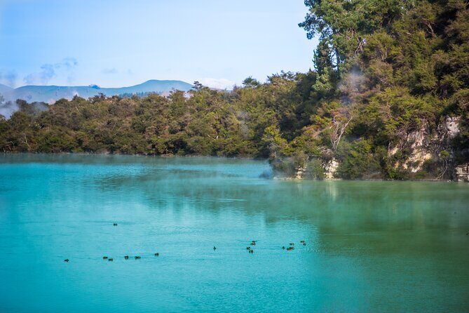 Devil's Bath Experience - Private Tour to Wai-O-Tapu & Lake Taupo - FAQ
