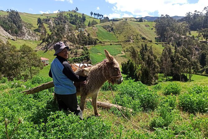 Devil´s Nose Hiking and Ingapirca Ruins from Cuenca - Experience the Best of Ecuador in a Day: Devil’s Nose and Ingapirca from Cuenca