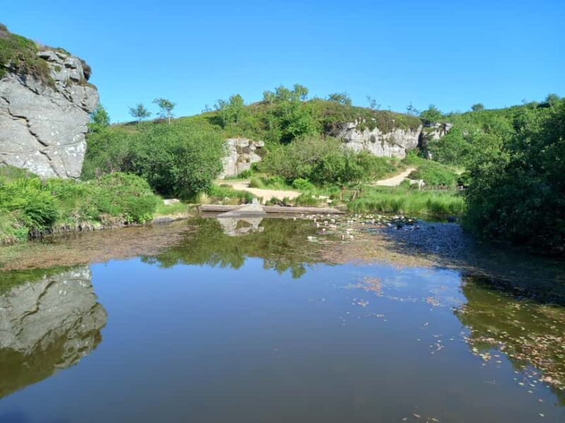 Devon: Dartmoor National Park Guided Tour - Key Points