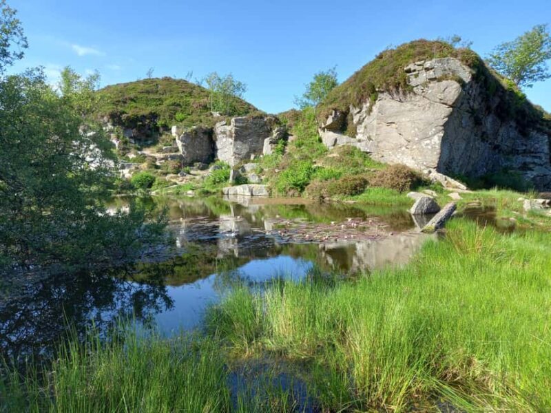 Devon: Dartmoor National Park Guided Tour - Introduction: What to Expect on the Dartmoor Guided Tour