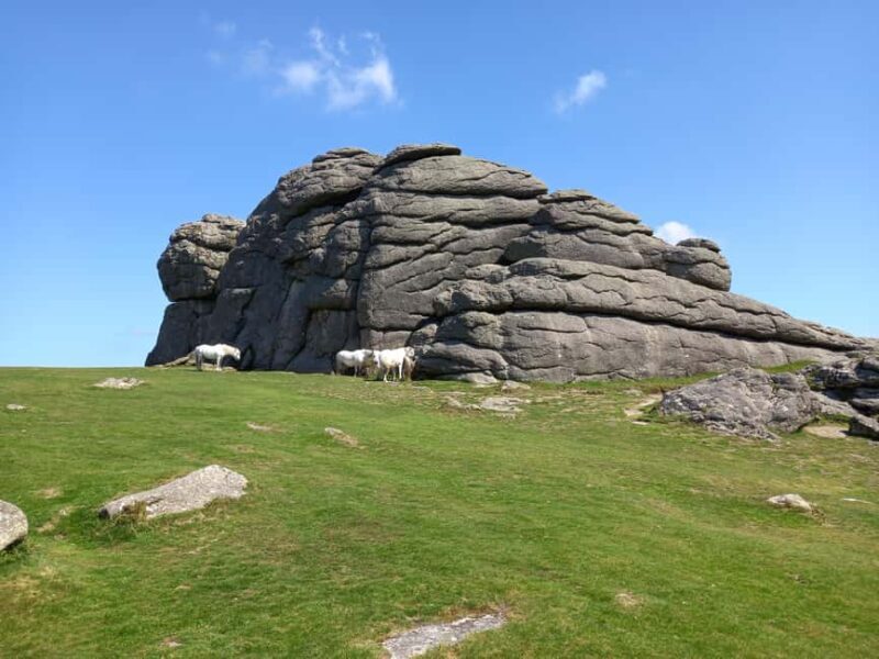 Devon: Dartmoor National Park Guided Tour - Detailed Breakdown of the Itinerary