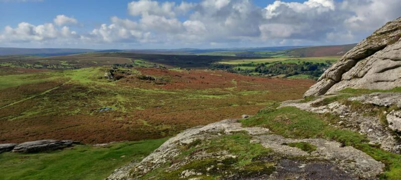 Devon: Dartmoor National Park Guided Tour - Who Would Enjoy This Tour?
