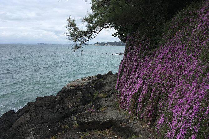 Devonport Volcanoes Afternoon Tour from Auckland - Coastal Walk and Lava Moulds at Takapuna