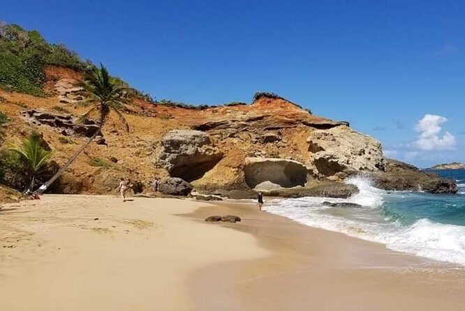 DG Tours - Full-Day Private Tour Experience - Exploring Dominica with DG Tours: A Deep Dive