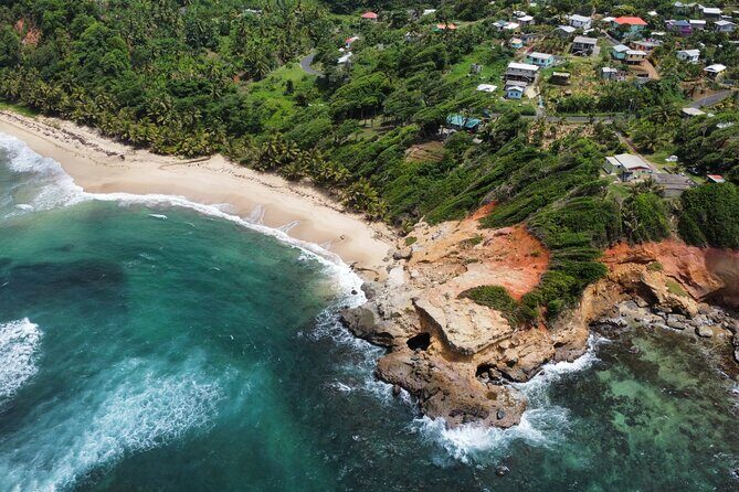 DG Tours - Full-Day Private Tour Experience - The Sum Up