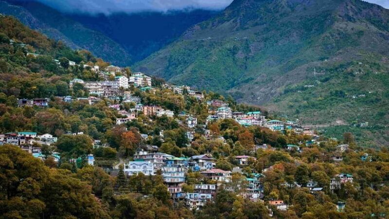 Dharamsala Half Day Sightseeing Tour - Key Points