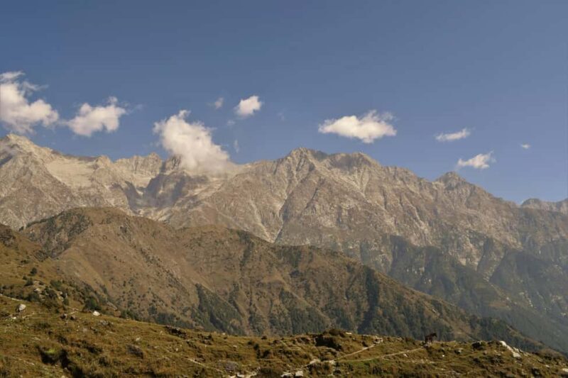 Dharamshala: 5-Day Guided City Tour with Triund Hike - A Practical Look at What to Expect