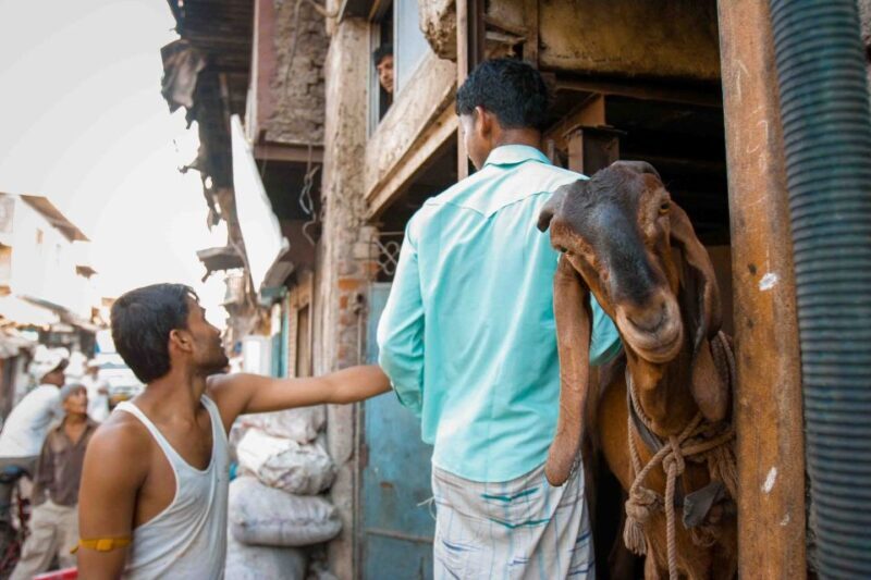 Dharavi Tour Including Car Transfer - A Deep Dive into the Dharavi Tour Experience