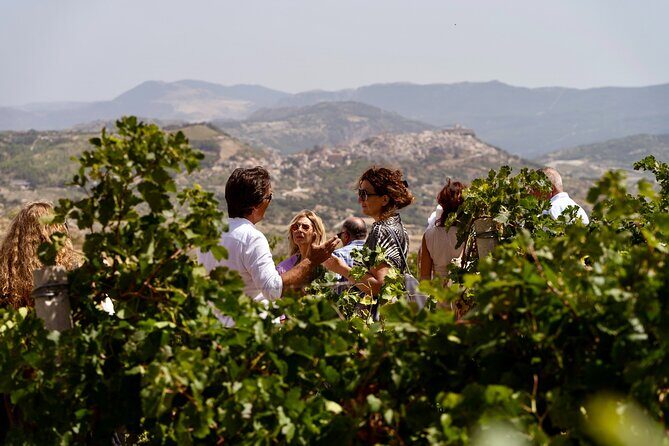 Di Giovanna Winery Tour & 3 Wine Tasting - A Closer Look at the Di Giovanna Winery Tour & Tasting