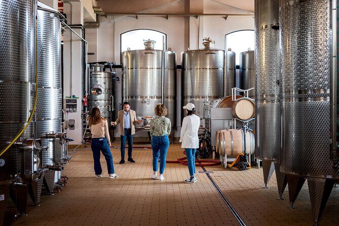 Di Giovanna Winery Tour & 5 Wine Tasting - A Deep Dive Into The Di Giovanna Winery Tour