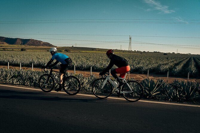 Día de Muertos Cycling Tour in Tequila 5 Days 3 Rides - FAQ