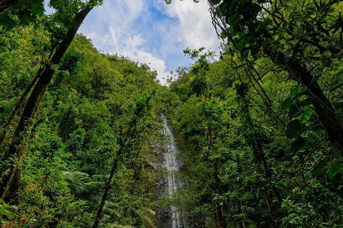 Diamond Head and Manoa Falls Hike and Adventure Tour - FAQs