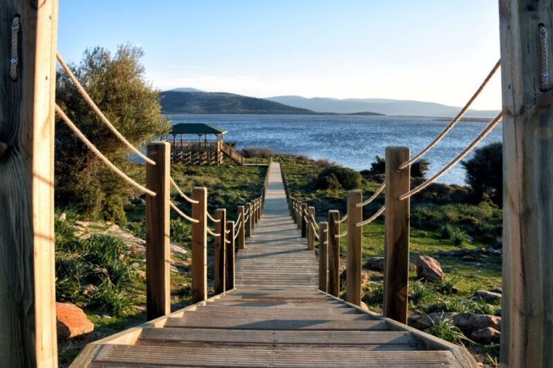 Didim/Altinkum: Full-Day Bafa Lake Guided Tour w/Breakfast - Exploring the Ecosystem and Birdlife
