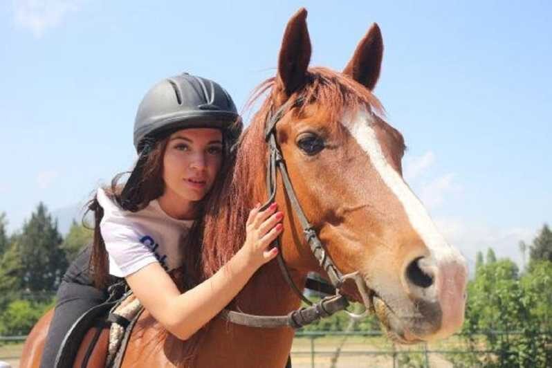 Didim Horse Safari - Key Points