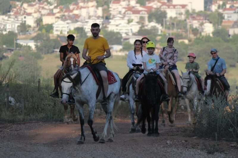 Didim Horse Safari - An In-Depth Look at Didim Horse Safari
