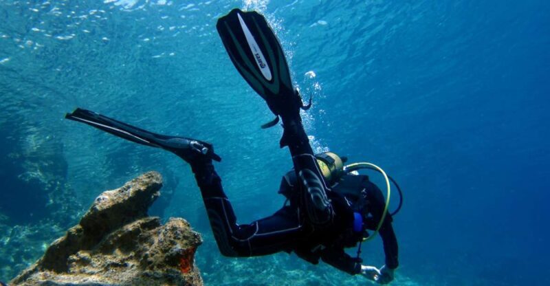 Didim: Scuba Diving Experience w/Hotel Pickup & Lunch - Didim: Scuba Diving Experience with Hotel Pickup & Lunch