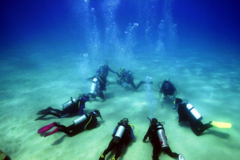 Didim: Scuba Diving Experience w/Hotel Pickup & Lunch - Additional Experiences for Your Didim Adventure