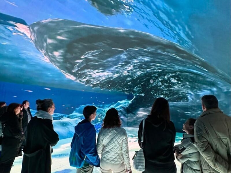 Digital Experience Museum Skip-the-Line Entry - Practical Tips for Your Visit