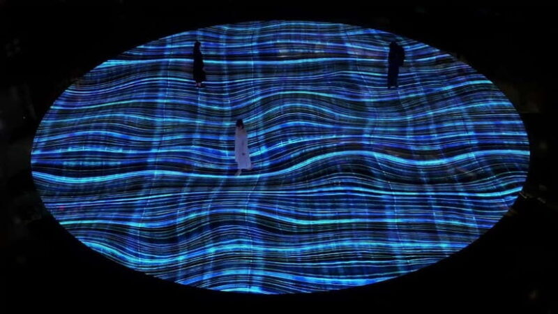 Digital Light Canvas by teamLab at Marina Bay Sands - Key Points