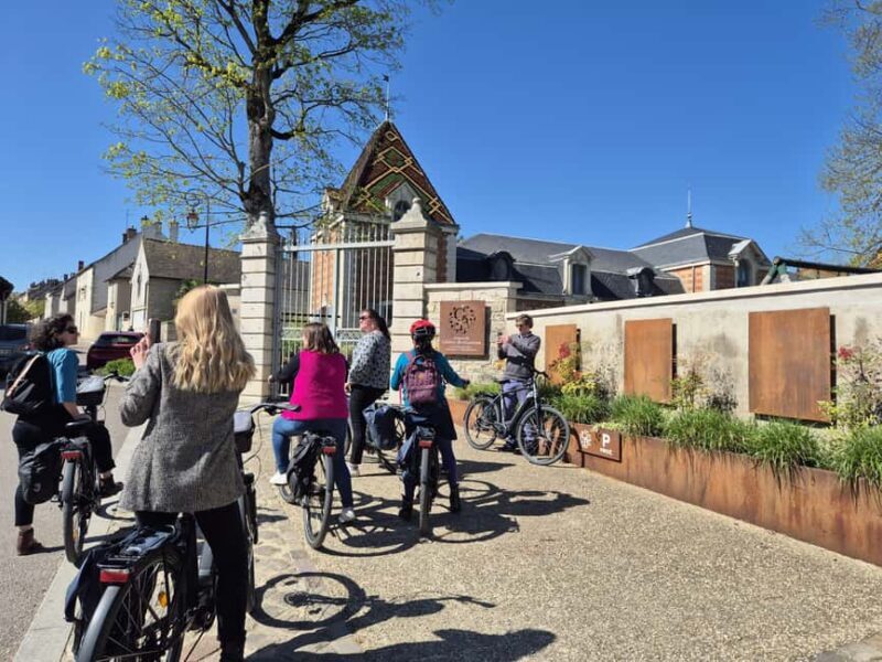 Dijon/Beaune: Full day Ebike Burgundy tour, tastings & lunch - Who Will Love This Tour?