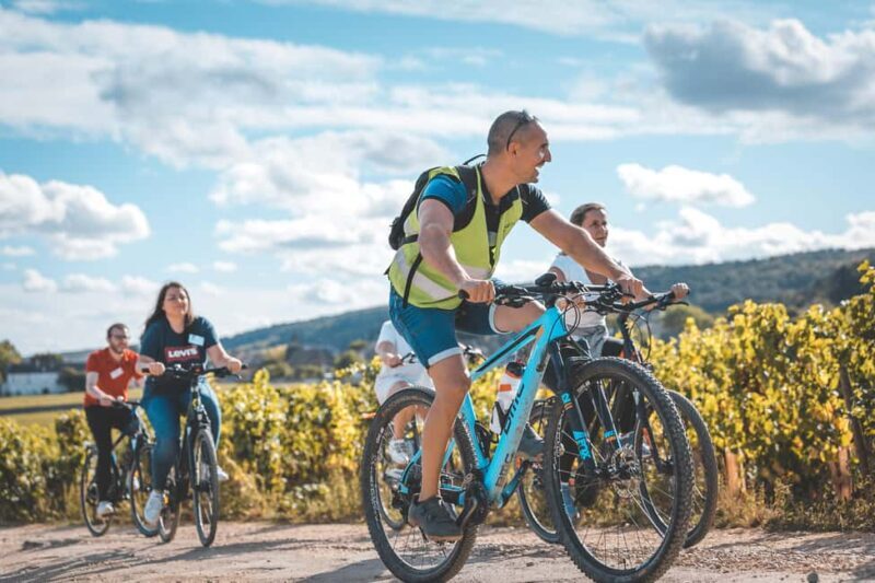 Dijon: Bike tour and Tastings in the Vineyards of Burgundy - Why This Tour Offers Value