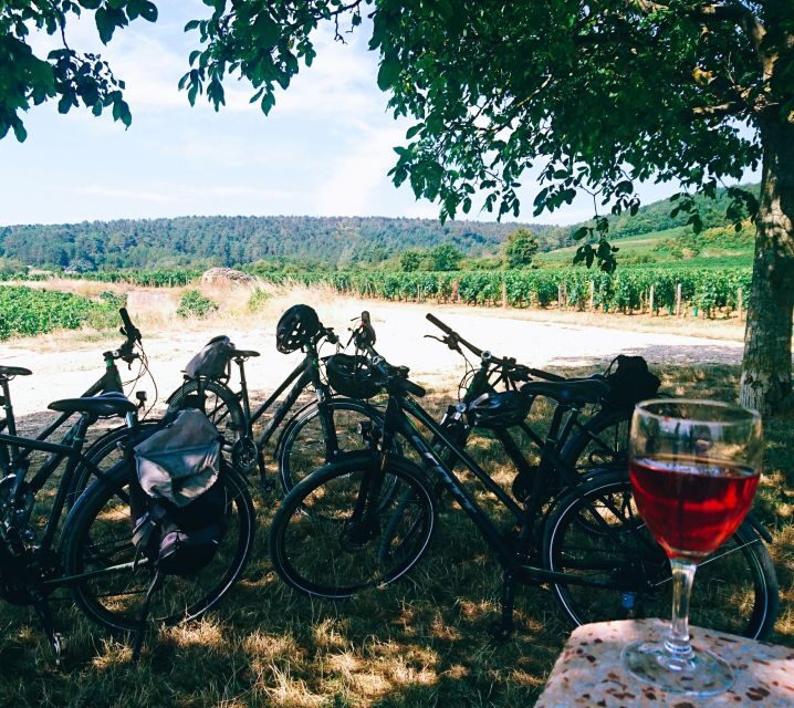 Dijon: Bike tour and Tastings in the Vineyards of Burgundy - FAQs